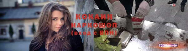 индика Алзамай