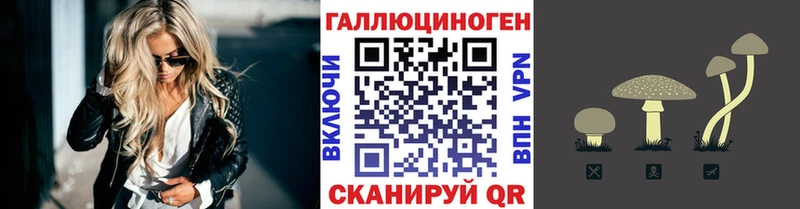 мега ONION Сухой Лог Галлюциногенные грибы Psilocybine cubensis