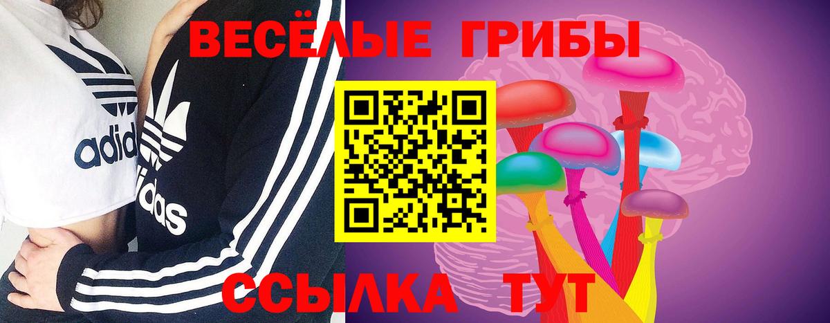 Псилоцибиновые грибы мицелий Сухой Лог